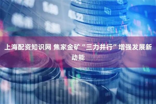 上海配资知识网 焦家金矿“三力并行”增强发展新动能